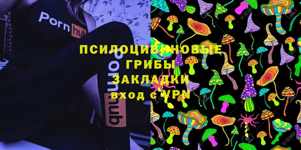 хмурый Волоколамск