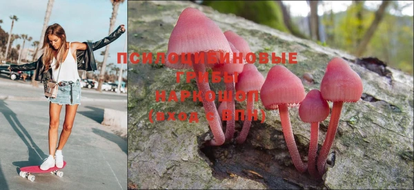 mdpv Кинешма
