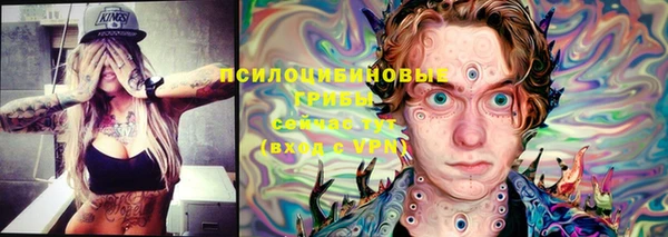 хмурый Волоколамск