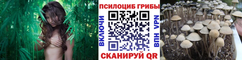 мориарти Telegram  Назарово  Псилоцибиновые грибы мицелий 