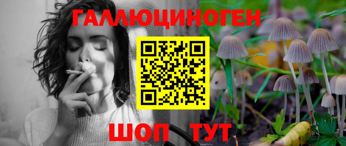 Псилоцибиновые грибы Cubensis  Вход с VPN  Назарово  Галлюциногенные грибы Psilocybe 