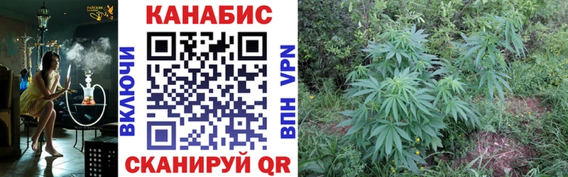Бошки марихуана OG Kush blacksprut вход Назарово